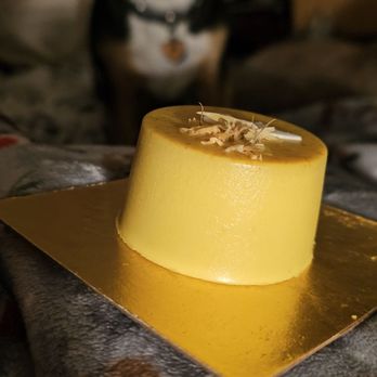 Dogue - Golden Cake that we bought for a treat for dinner - Pet Stores Near Me - San Francisco, California