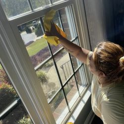 Palmetto Cleaning Solutions