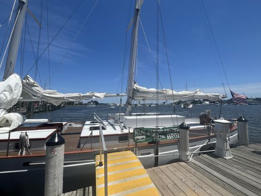 Schooner Woodwind Sailing Cruises by null