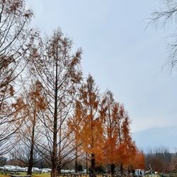Warwick Valley Winery & Distillery - Autumn