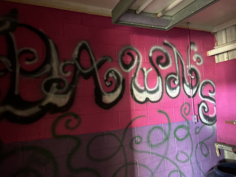 GATOR MOVING & STORAGE Updated October 2024 16 Photos & 15 Reviews