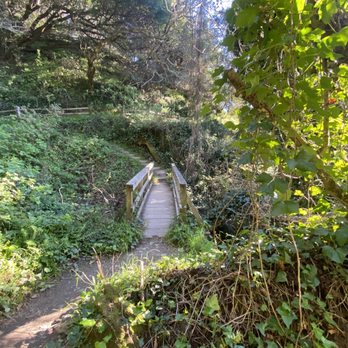 Matt Davis Trail - Parks Near Me - Stinson Beach, California Matt Davis Trail - Parks Near Me - Stinson Beach, California