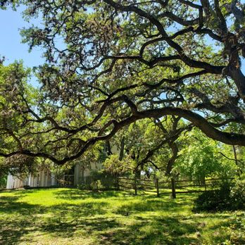 Denman Estate park - Parks Near Me - San Antonio, Texas