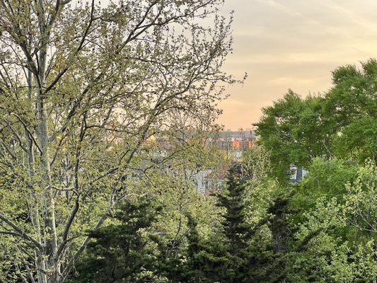 Meridian Hill Park by null