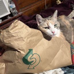 My cat loves the bag....