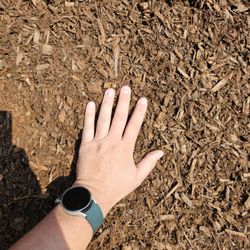 83 Landscape Supply - Bought some brown colored mulch!