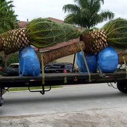 A Quality Plant