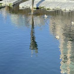 Skulpturparken på Tjuvholmen