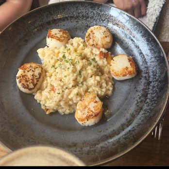 Ember - Scallop with risotto, delicious. - Sushi Bars Near Me - Williamsburg, Virginia Ember - Scallop with risotto, delicious. - Sushi Bars Near Me - Williamsburg, Virginia