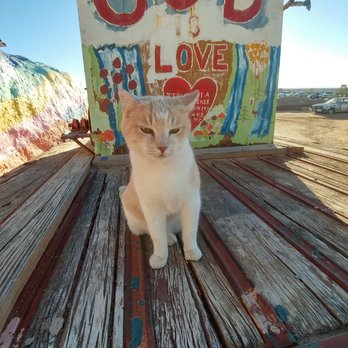 Salvation Mountain - God is love. Love the cat. - Landmarks & Historical Buildings Near Me - Niland, California Salvation Mountain - God is love. Love the cat. - Landmarks & Historical Buildings Near Me - Niland, California