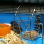 Photo of Little Shop of Horrors