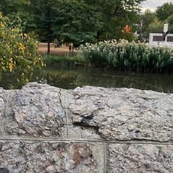 Agassiz Bridge - View from The Beautiful 5 Arch Stone Agassiz Bridge crosses the Muddy River & is minutes from Fenway Park @ Fenway Victory Gardens Boston
