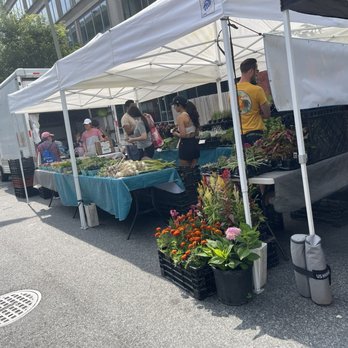 Fresh Farm Market - Farmers Market Near Me - Washington, DC, District of Columbia