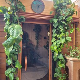 The lovely infrared sauna The lovely infrared sauna