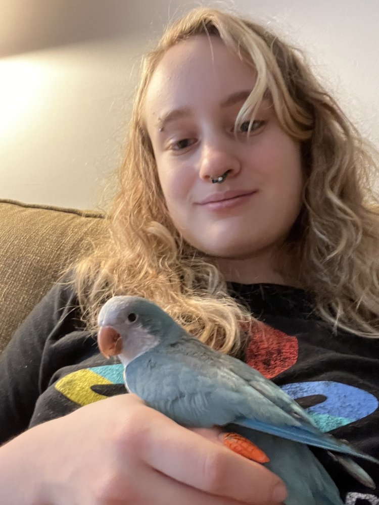 Pet Supermarket Image