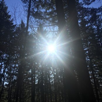 Mount Talbert Nature Park - Parks Near Me - Clackamas, Oregon