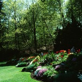 Yager Lawn Maintenance - a view of a garden - Tree Services Near Me Yager Lawn Maintenance - a view of a garden - Tree Services Near Me