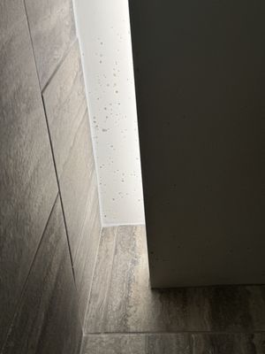 Nobu Hotel Atlanta by null