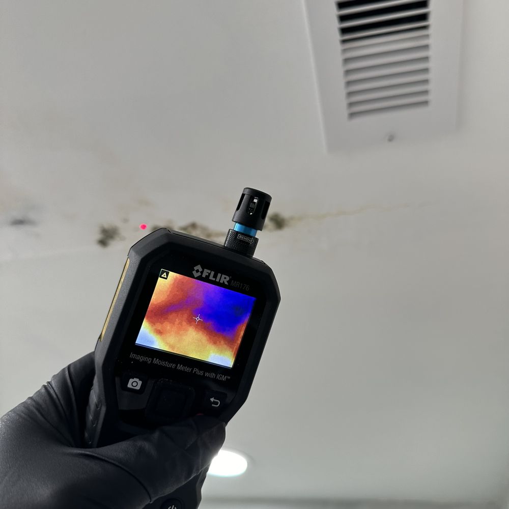 Breathe Clean Again - mold inspector in Miami, FL