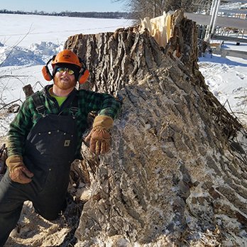 Tree Trimmers - Tree Services Near Me - Underwood, Minnesota Tree Trimmers - Tree Services Near Me - Underwood, Minnesota