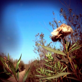 Westchester Fire Road/Trail - Hiking Near Me - Westchester, California