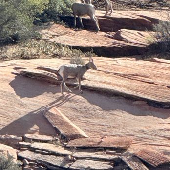 Zion National Park - Parks Near Me Zion National Park - Parks Near Me