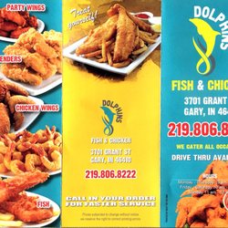 Dolphins Fish & Chicken