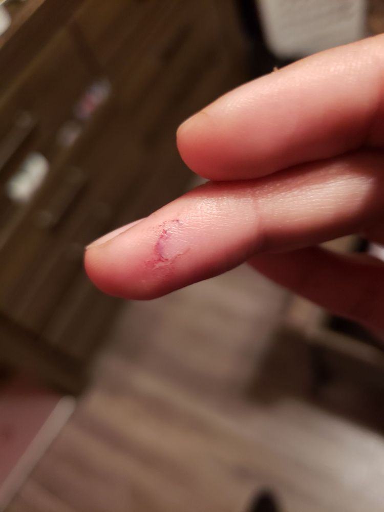 CANOGA DISCOUNT BIRDS 128 Photos & 122 Reviews Pet Boarding 21731