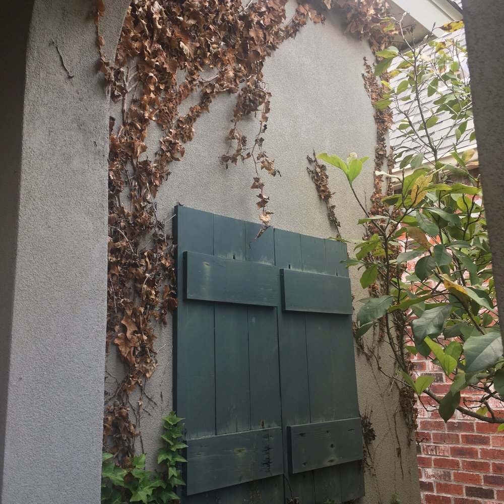 GreenSeasons - Green Seasons allowed ivy to grow on stucco and then left it there after they killed it. I finally removed this myself. Horrible - Landscaping Near Me - Greenwell Springs, Louisiana GreenSeasons - Green Seasons allowed ivy to grow on stucco and then left it there after they killed it. I finally removed this myself. Horrible - Landscaping Near Me - Greenwell Springs, Louisiana
