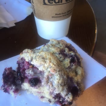 Wild Crumb - Huckleberry scones - Coffee & Tea Near Me - Bozeman, Montana Wild Crumb - Huckleberry scones - Coffee & Tea Near Me - Bozeman, Montana