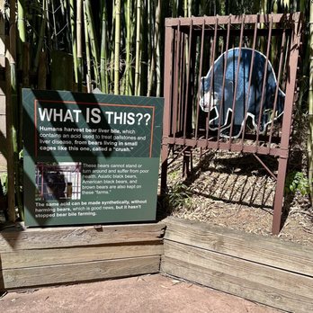 Zoo Atlanta - Protect our bears - Zoos Near Me - Atlanta, Georgia Zoo Atlanta - Protect our bears - Zoos Near Me - Atlanta, Georgia