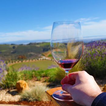 DAOU Vineyards - Wineries Near Me - Paso Robles, California