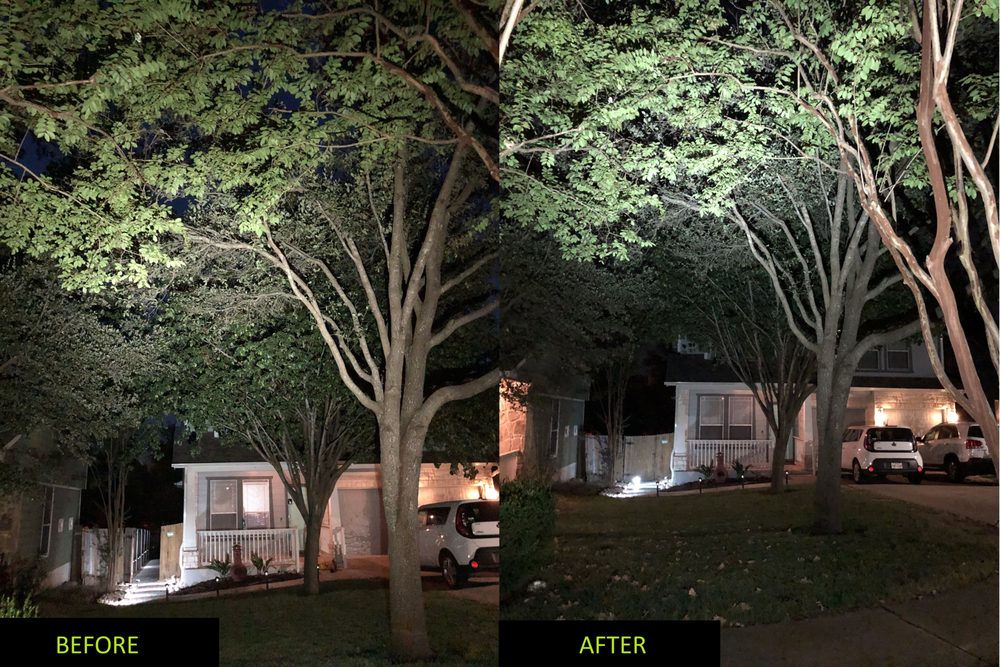 Big G Tree Experts - tree service in Austin, TX