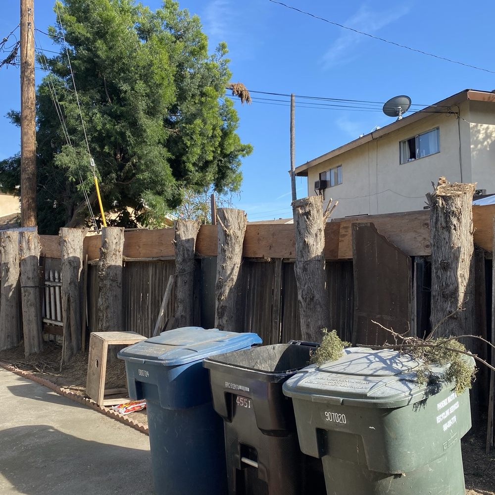 Inexpensive Tree Services - Finished work. - Tree Services Near Me - Los Angeles, California