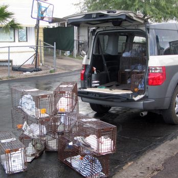 2TheResQ - Animal Shelters Near Me