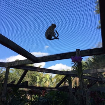 Monkey Jungle - Zoos Near Me - Miami, Florida Monkey Jungle - Zoos Near Me - Miami, Florida