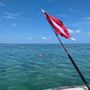 Landon Sea Adventures