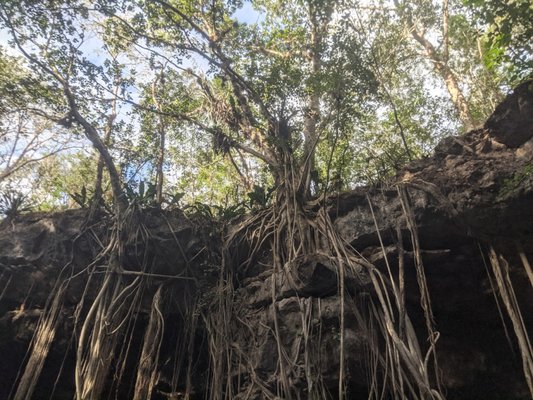 Cenote X'batun by null