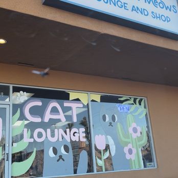Save the Meow Meows Cat Lounge - Store front! - Pet Adoption Near Me - Yucca Valley, California