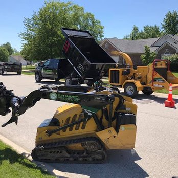 Stumped - Tree Services Near Me - Fishers, Indiana