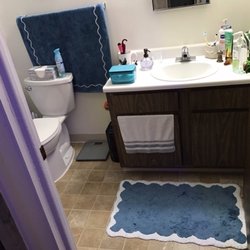 Dillard's - Bath rug and towel