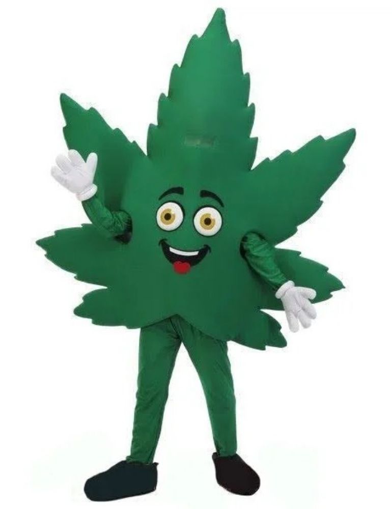 GREENLEAF BOTANICALS Updated August 2024 42 Photos & 26 Reviews