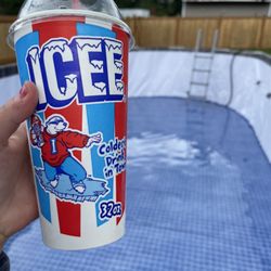 The Pool Guy Plus