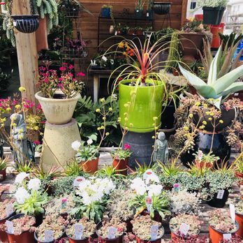 Yamaguchi Bonsai Nursery - Nurseries & Gardening Near Me - Los Angeles, California Yamaguchi Bonsai Nursery - Nurseries & Gardening Near Me - Los Angeles, California