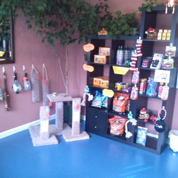 New Creations Pet Styling - Pet Groomers Near Me - Lansdowne, Pennsylvania New Creations Pet Styling - Pet Groomers Near Me - Lansdowne, Pennsylvania