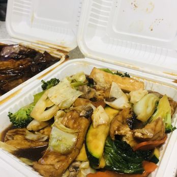 Veggie Garden - E16. Tofu Delight -- look at how much food they gave me! Yay!!!! - Vegan Near Me - Mountain View, California