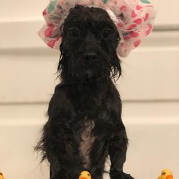 Cute bath pic Cute bath pic
