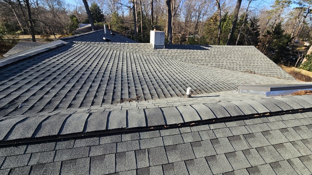 Slide of Gutter Daddy