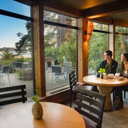 Driftwood Cafe - Ocean views at Driftwood Cafe