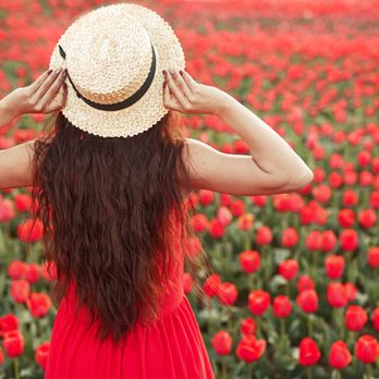 Lisa Abrams Hair Design - Hair Extensions Near Me - Sacramento, California Lisa Abrams Hair Design - Hair Extensions Near Me - Sacramento, California